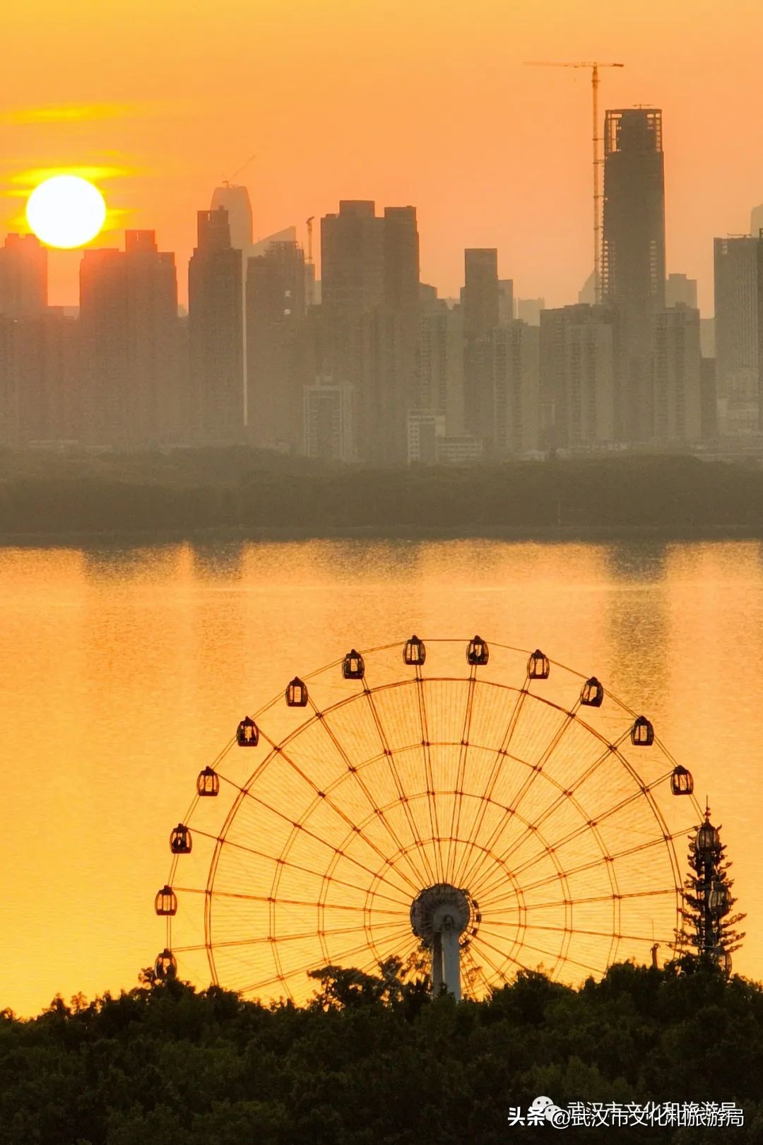 来武汉一定要去一趟东湖看荷花,来武汉看樱花吧