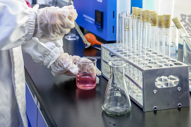 进口正品西洋参500克多少钱,进口西洋参与国产参的差别