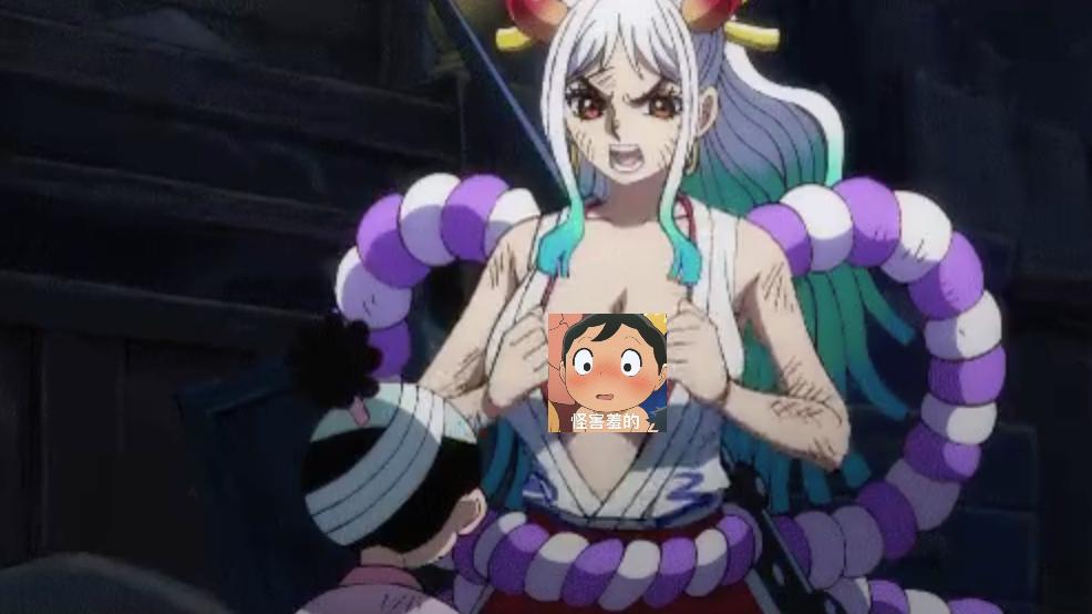 海贼王1021-1071全免看,海贼王1021集解说