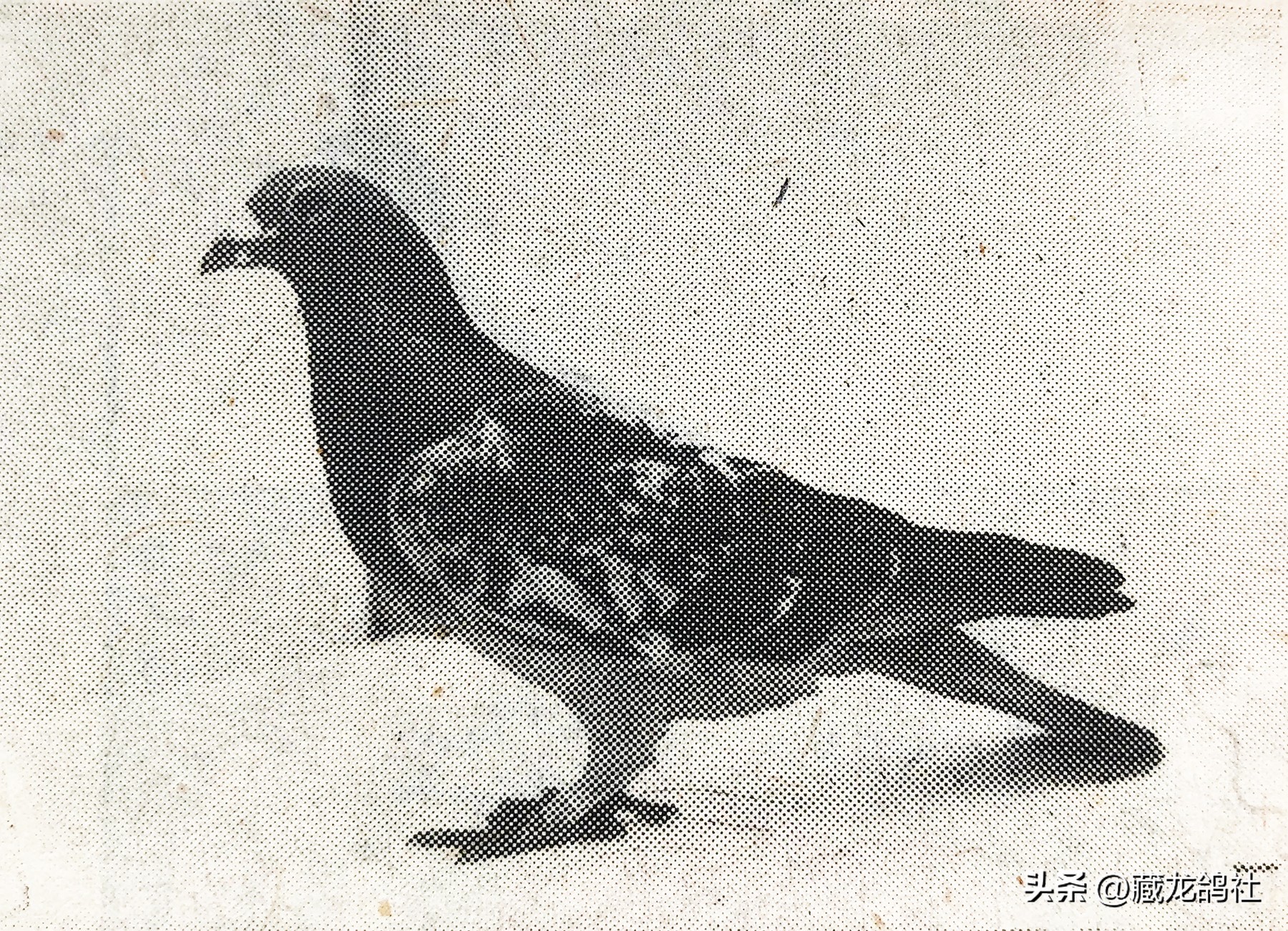 十年磨一剑研发海思芯片,十年磨一剑精心铸精品