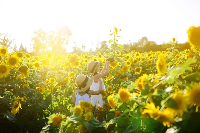 杩囩敓鏃ョ粰鑰佸涔颁簡涓噾鎵嬮暞,缁欏﹩濠嗚繃鐢熸棩鍏叕涔颁簡涓噾鎵嬮暞