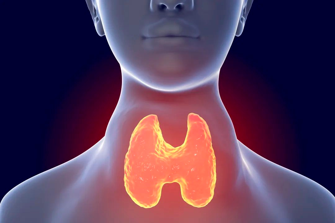 甲状腺患者关爱甲状腺,甲状腺半价筛查活动