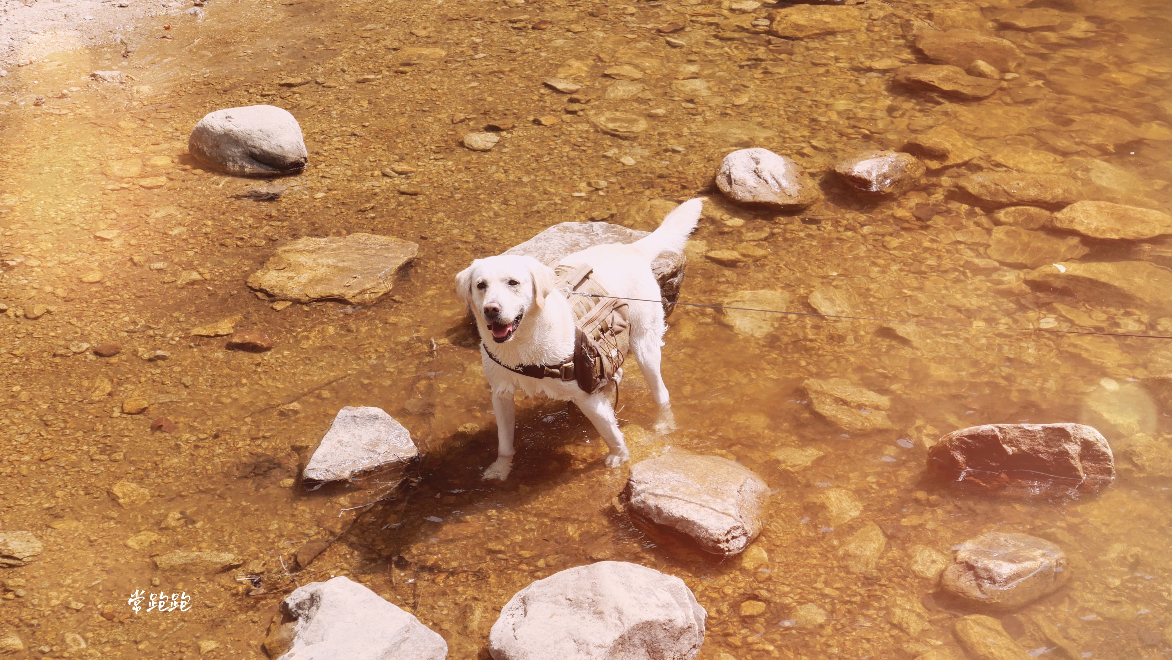 北京清凉谷打卡攻略,北京京郊密云清凉谷