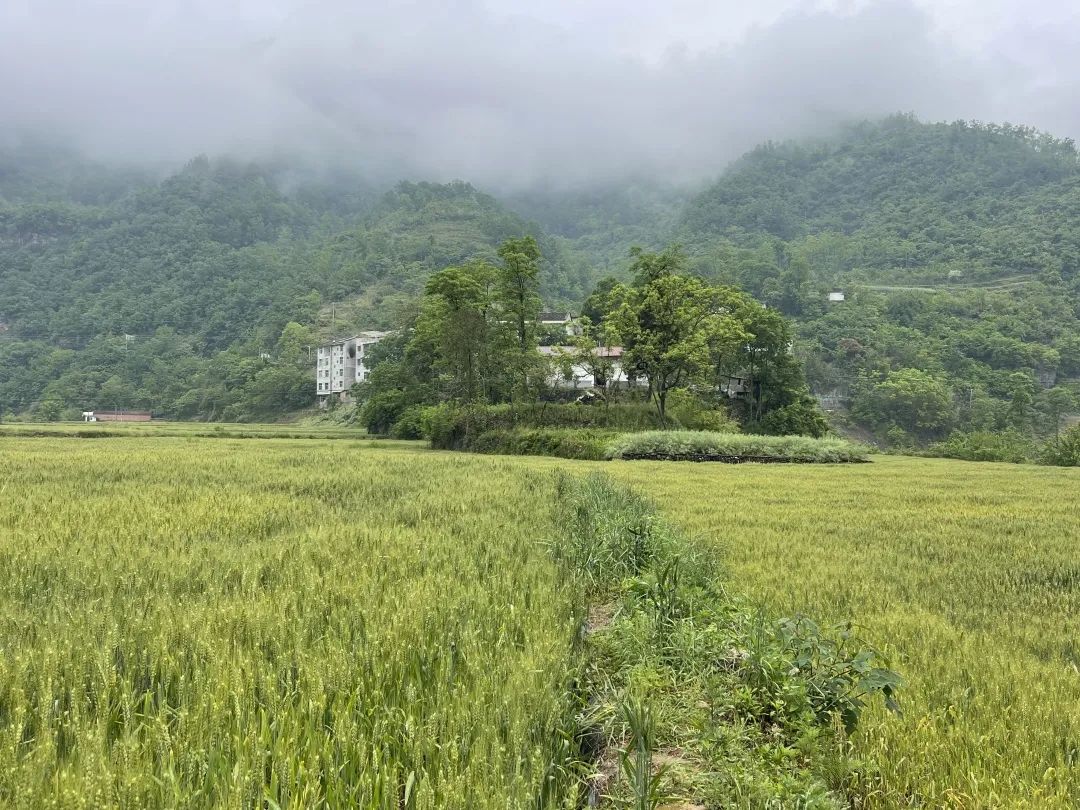 相聚仍是青年——记情系四中群友聚