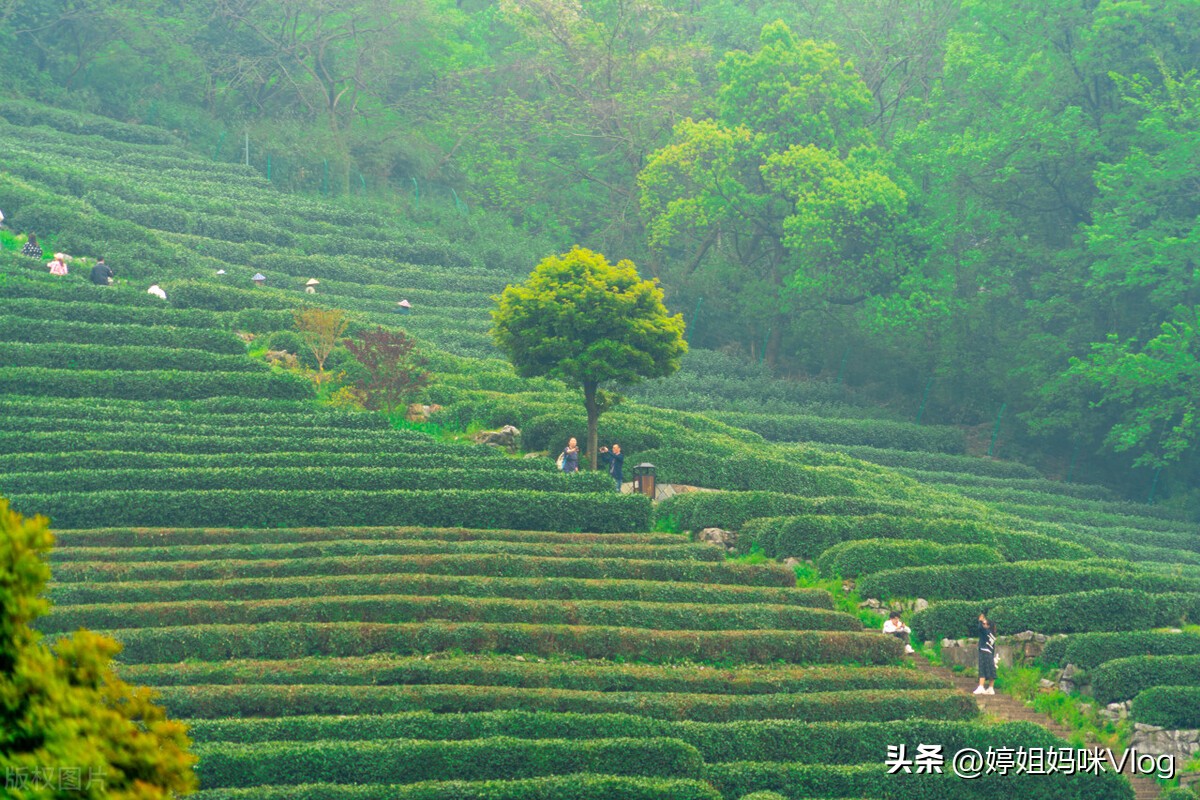 杭州带娃游玩攻略必去的地方,杭州情侣必去的地方