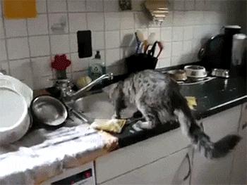 笑死了，女朋友说她昨晚游泳去了，这晒痕就是最好的证明