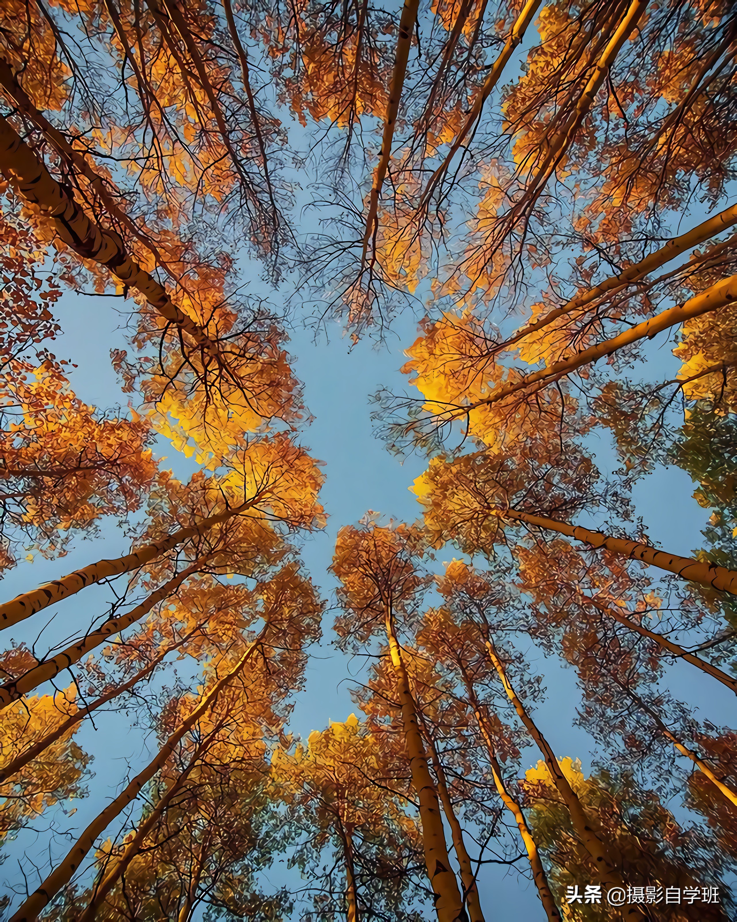 风景摄影如何拍摄好看,拍风光照的12个摄影技巧