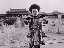 溥仪离开故宫第一个晚上住在哪里,溥仪离开紫禁宫时拿走了几个至宝