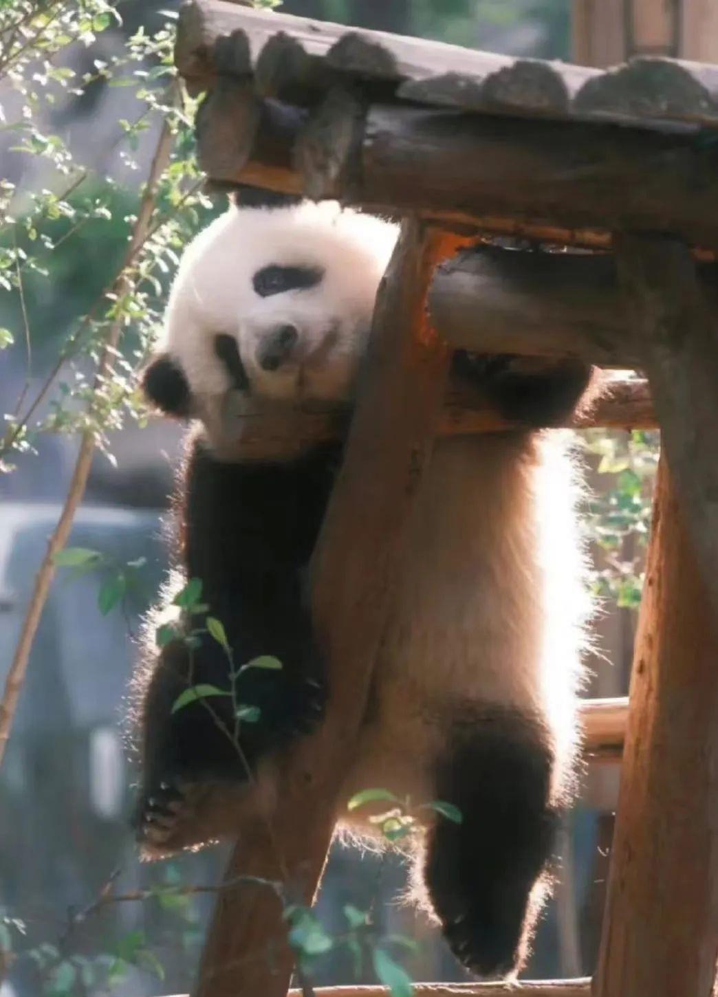 让自己最舒服的状态,最让自己舒服的6个社交方式