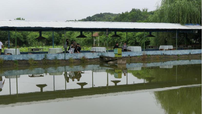 50亩以内的小农场如何盈利,搞一个5亩的小农场要投资多少钱
