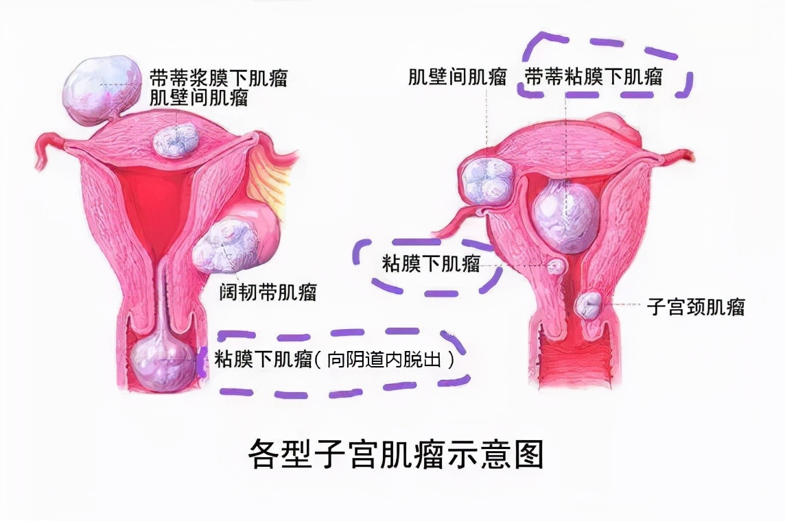 好医生被害案例,好医生结局解析