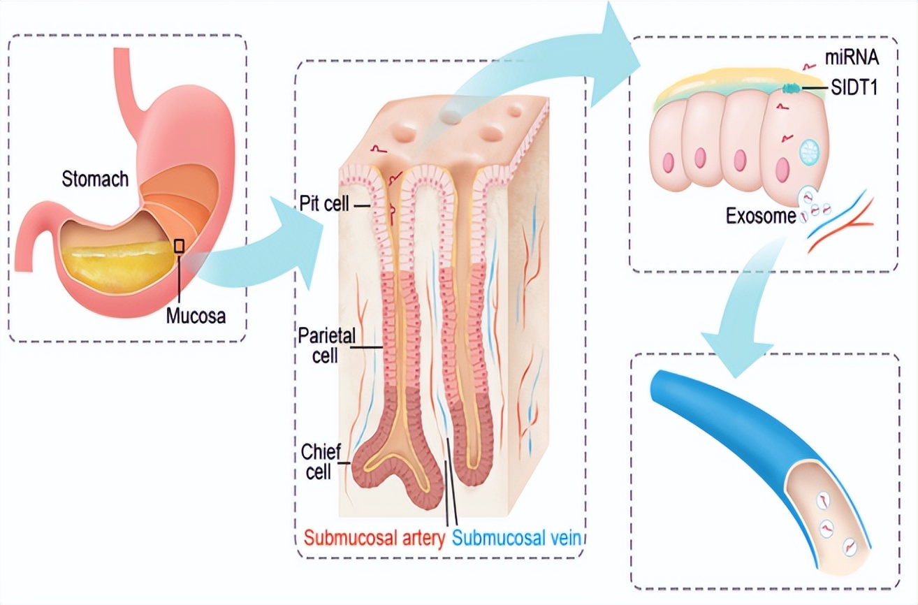 这是中国首个生物系！她用百年历史告诉你，我们为什么热爱生命科学