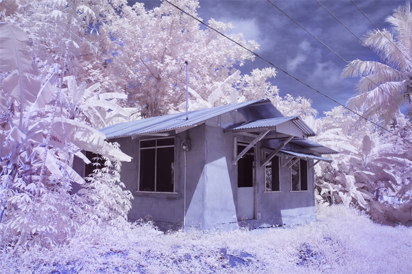 *亲近**繁殖危害很大！这是来自基因的“诅咒”，无法破解