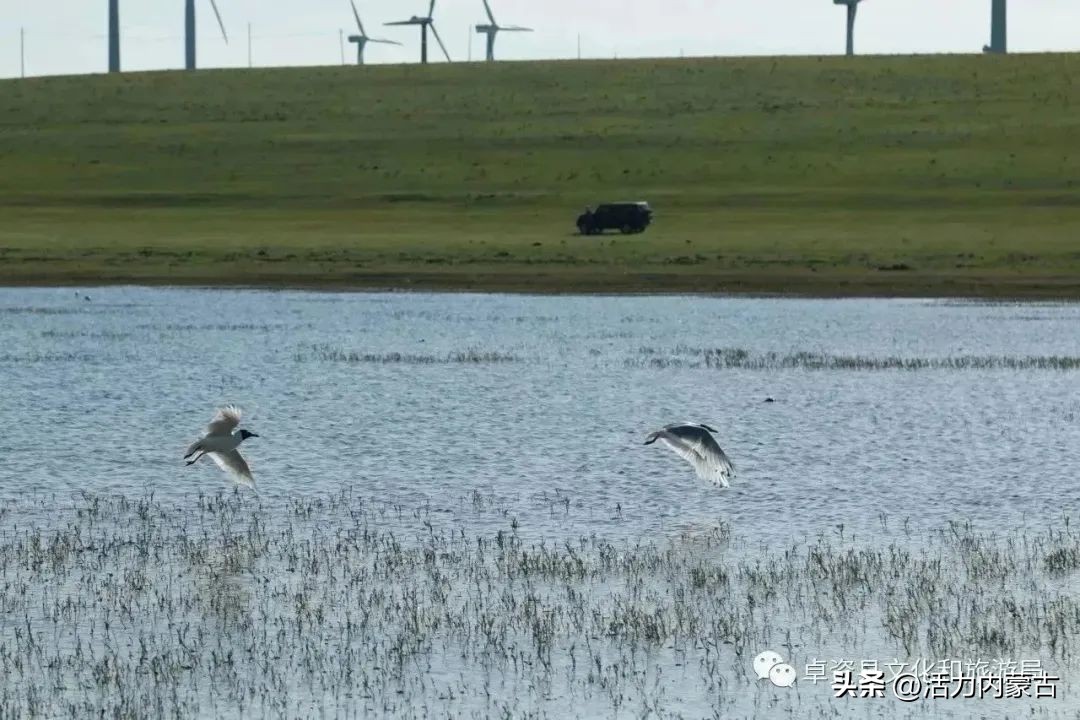 探秘九十九里温泉瀑布,探秘火山底部