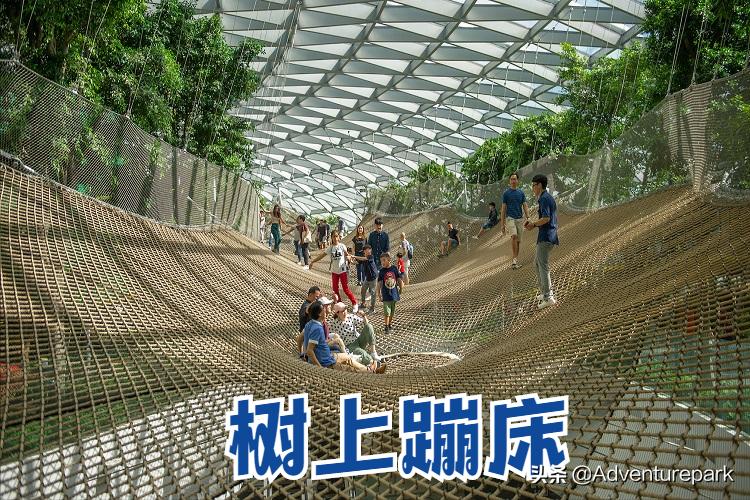 鏍戦棿璺冲姩妫灄鎺㈤櫓涔愬洯韫﹀簥,妫灄鍏洯韫﹀簥杩峰