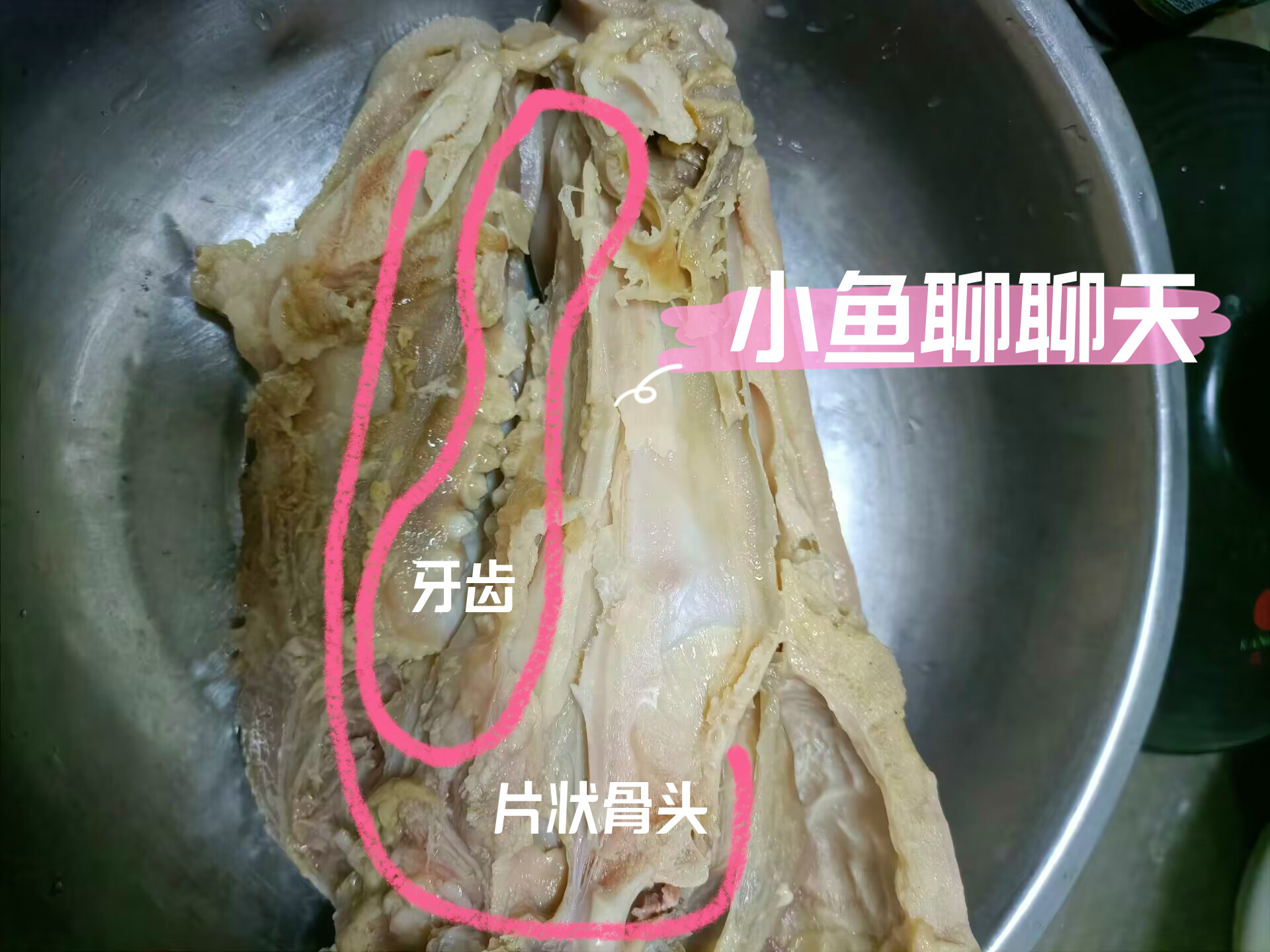 220块钱买了2斤猪肉,22元买了两斤猪头肉