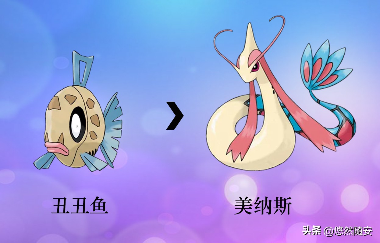 宝可梦进化形态,神奇宝可梦伊布进化形态