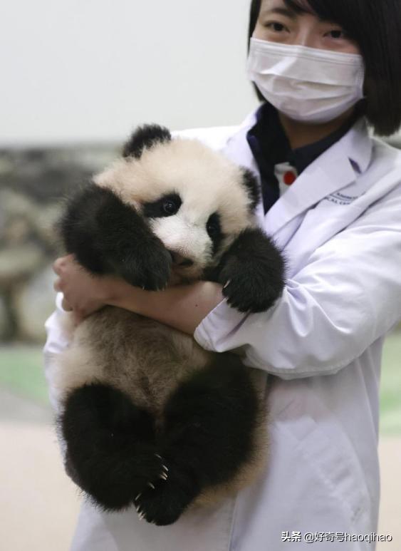 毁童年!干脆面上印的竟然不是小浣熊?