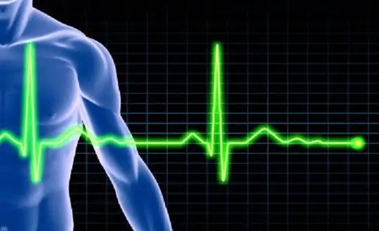 胶体电瓶修复技术大全,电瓶修复技术纯铅