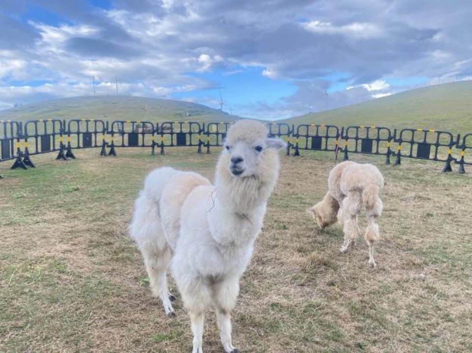 郴州长沙张家界五日游,湖南郴州张家界三日游