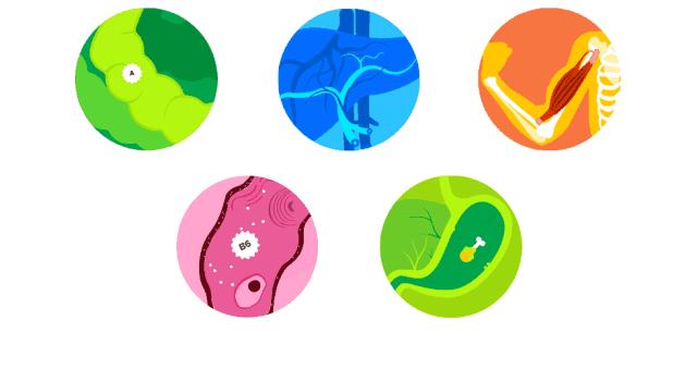 维生素diu代表啥,维生素u和复合维生素u区别