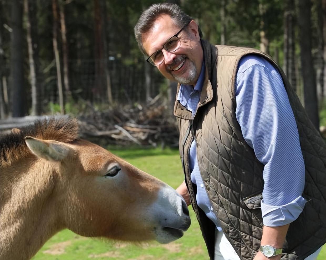 日本租借的大熊猫香香长什么样,香香大熊猫回国成都大熊猫基地