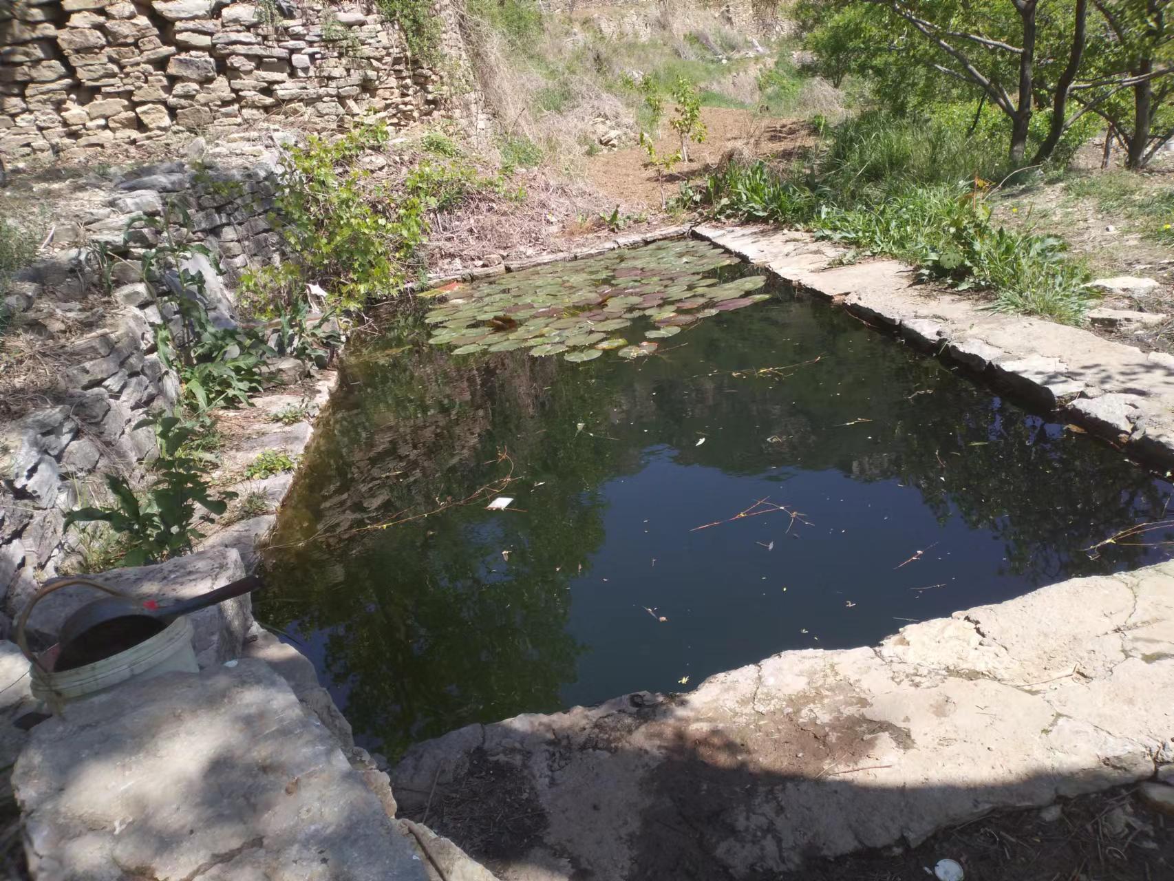 临朐自然美,临朐新美丽