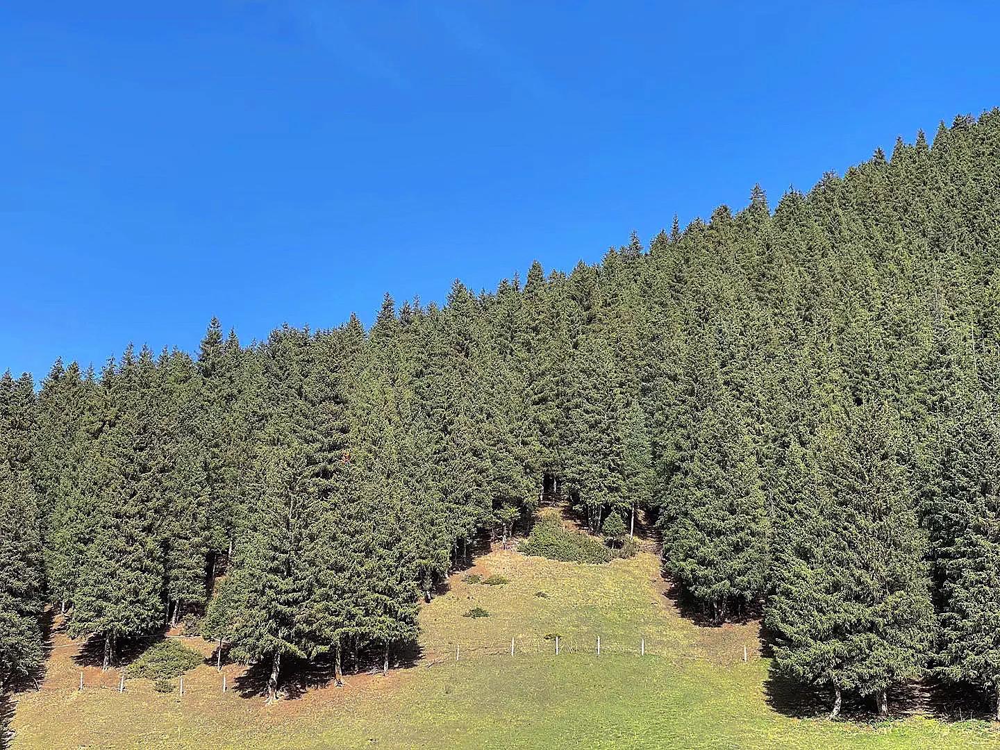 乌鲁木齐南山出游注意事项,去乌鲁木齐南山需要带什么东西