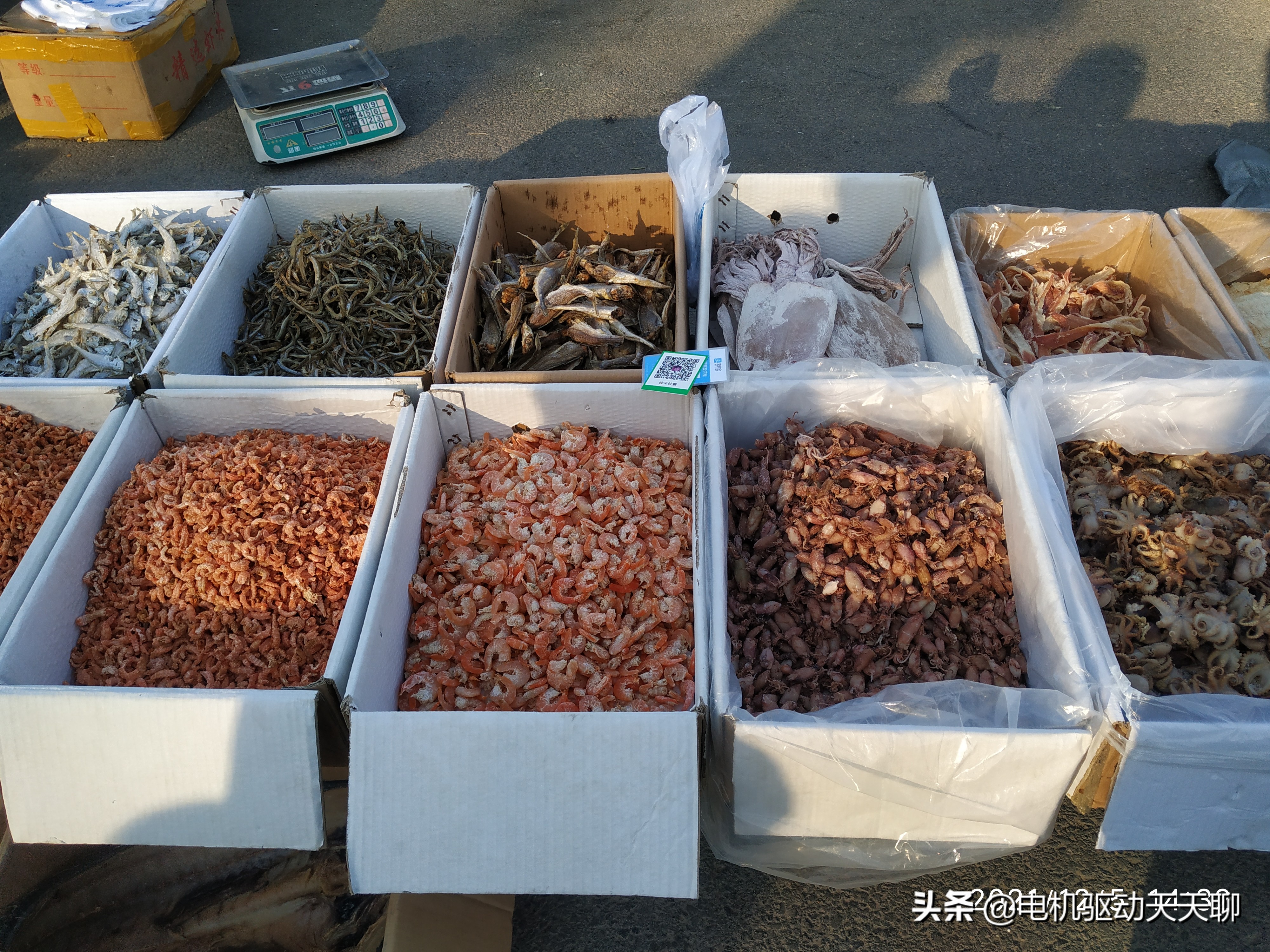 窦店田家园大集什么时间开放,房山窦店田家园大集现在开了吗