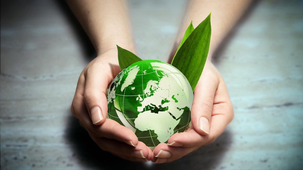 蝎毒有什么价值,蝎毒的价值