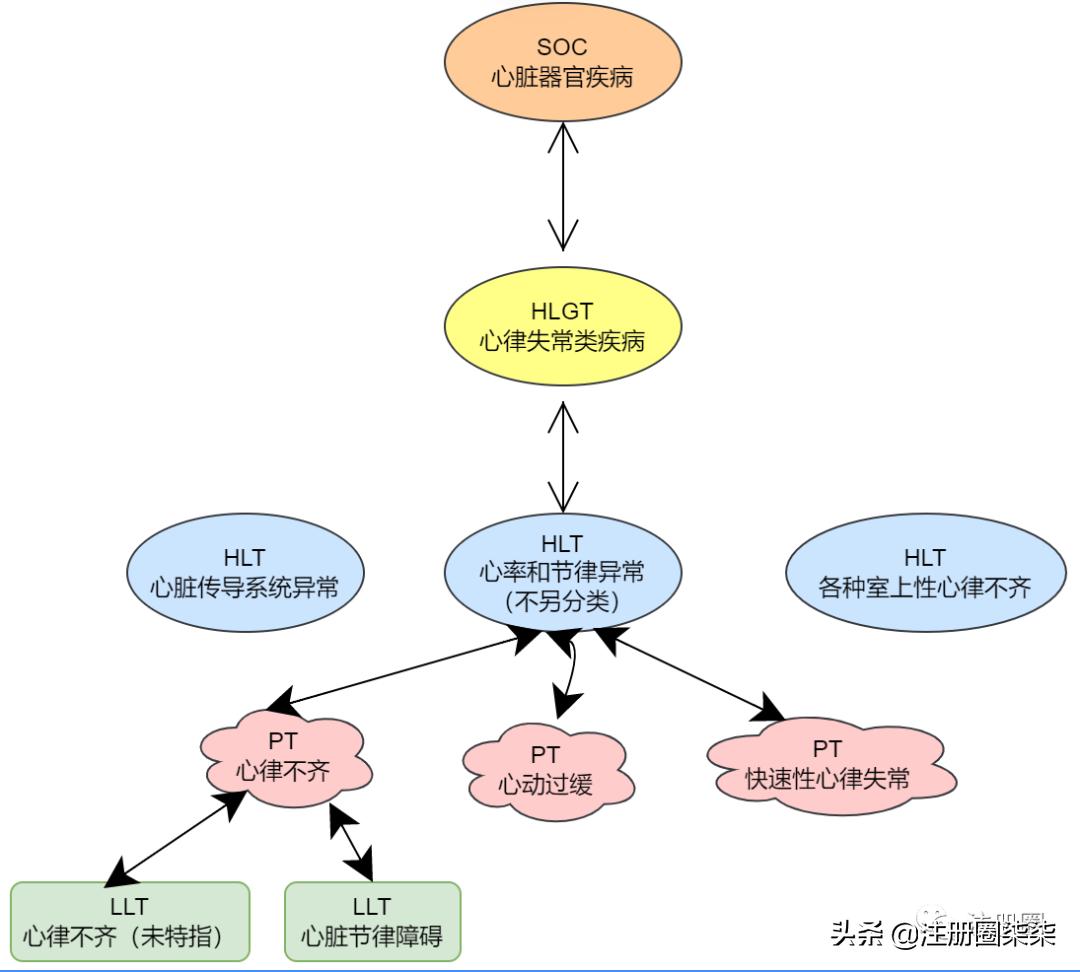 药物警戒体系全套文件,药物警戒体系内部审核