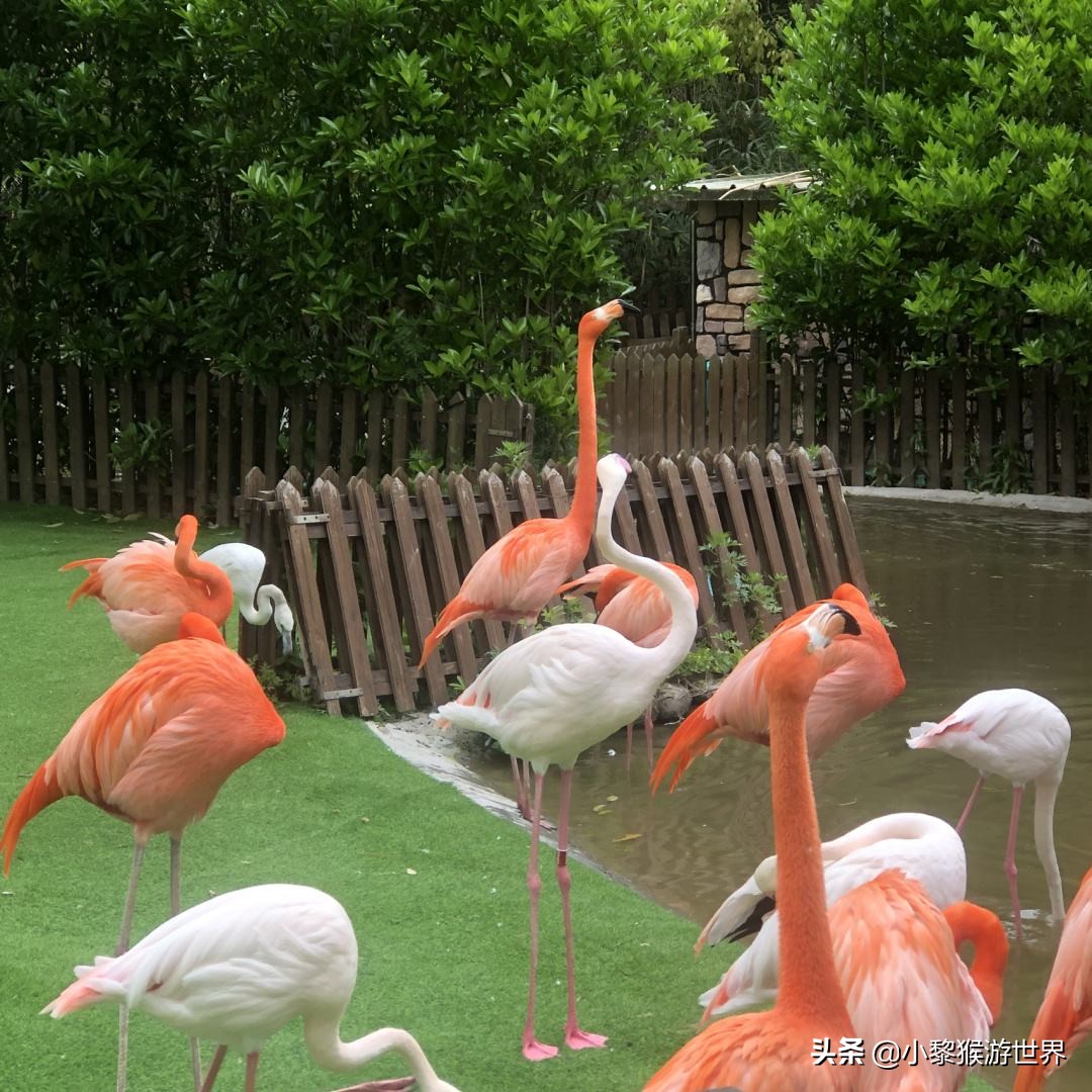 上海旅游必游的十大景区,上海有哪些旅游景区