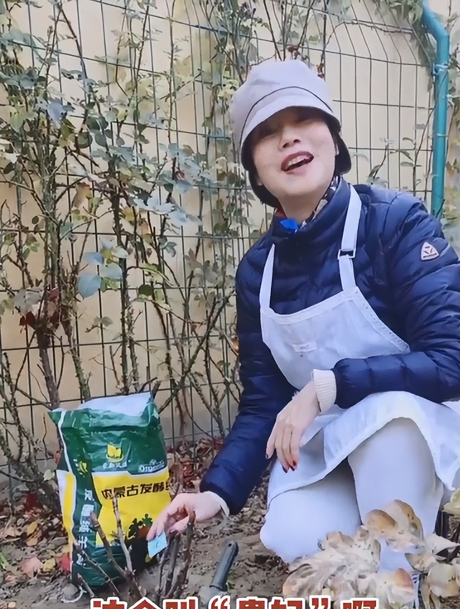 徐俐：变身农村大妈，对小花园进行冬季“修剪施肥保温”养护管理