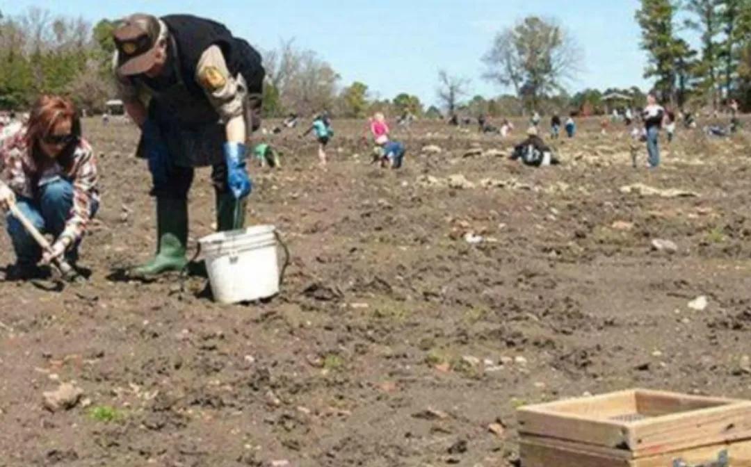 美国的钻石公园门票要多少钱,美国钻石公园门票价格