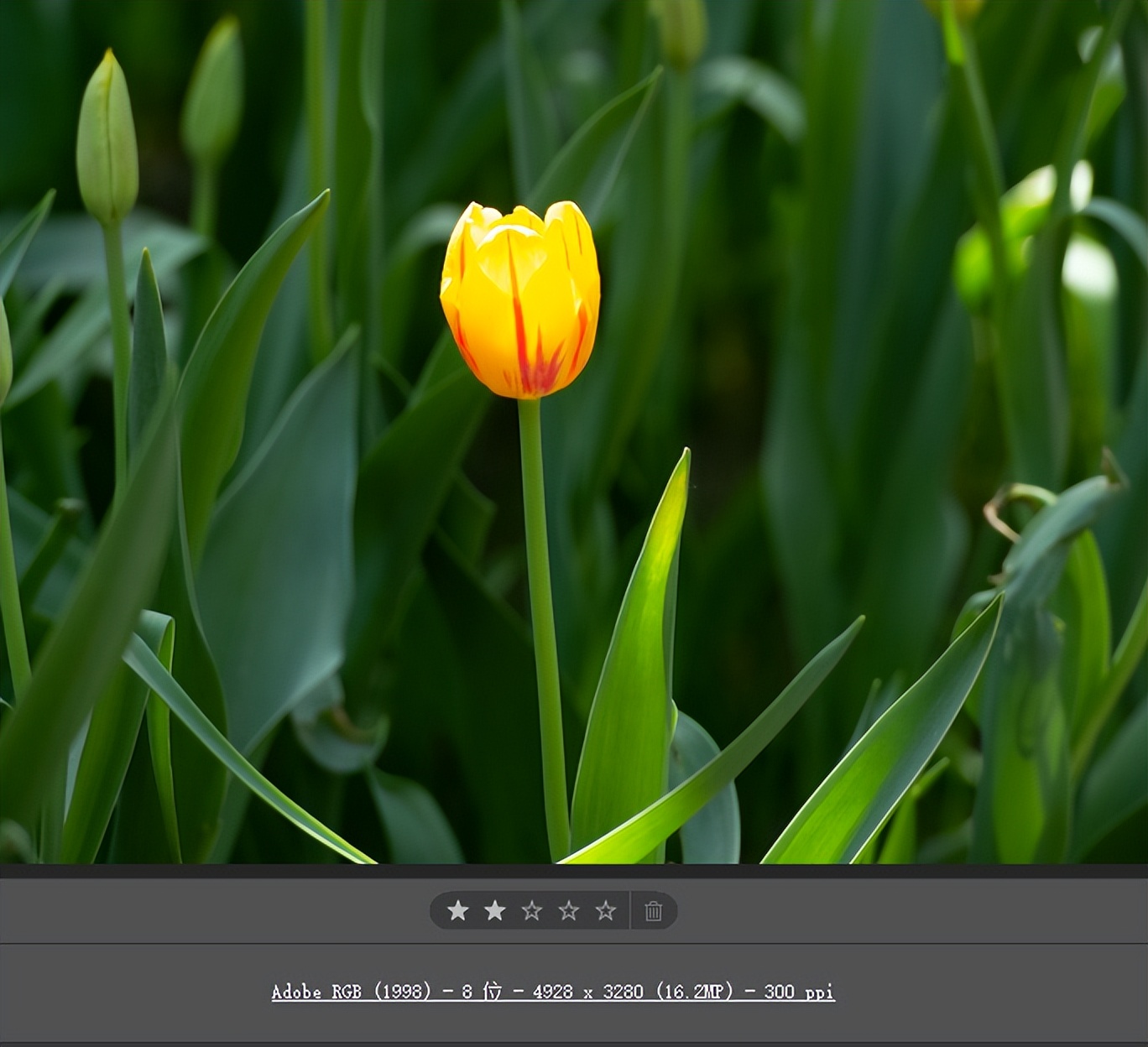图片导出色差怎么办,jpg导出图片颜色不一样