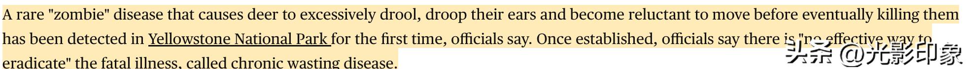 世界最早的国家公园——美国的黄石公园