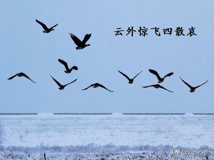 杜牧七律九日齐山登高,杜牧的七绝最为人称道