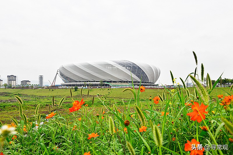 2023年亚洲杯足球赛停办了吗,亚洲杯足球队出局