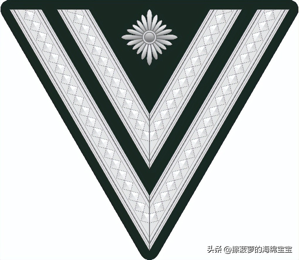 二战德国国防军医疗兵军衔标志