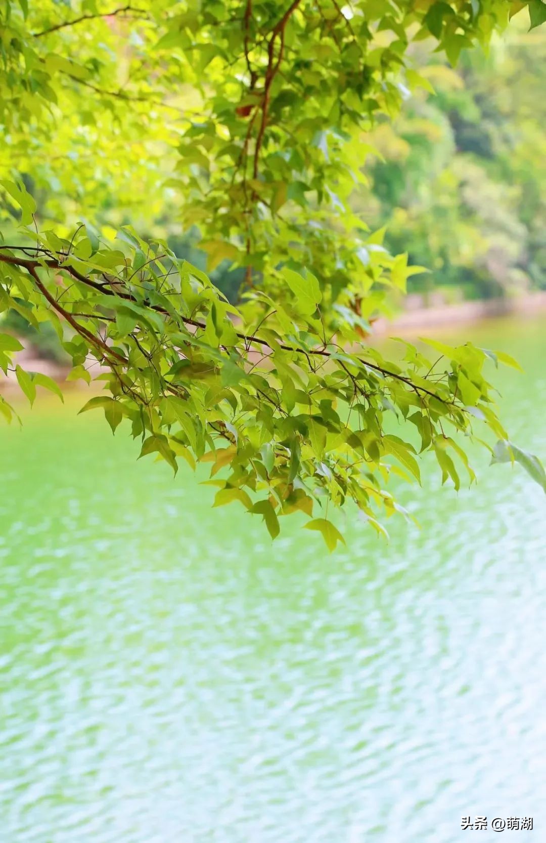 夏天去广州旅游攻略一天,广州旅游攻略一天一夜自由行