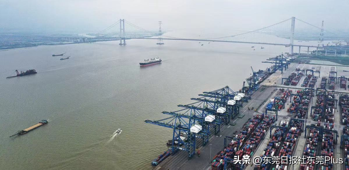 东莞经济观察,2024东莞经济形势预判