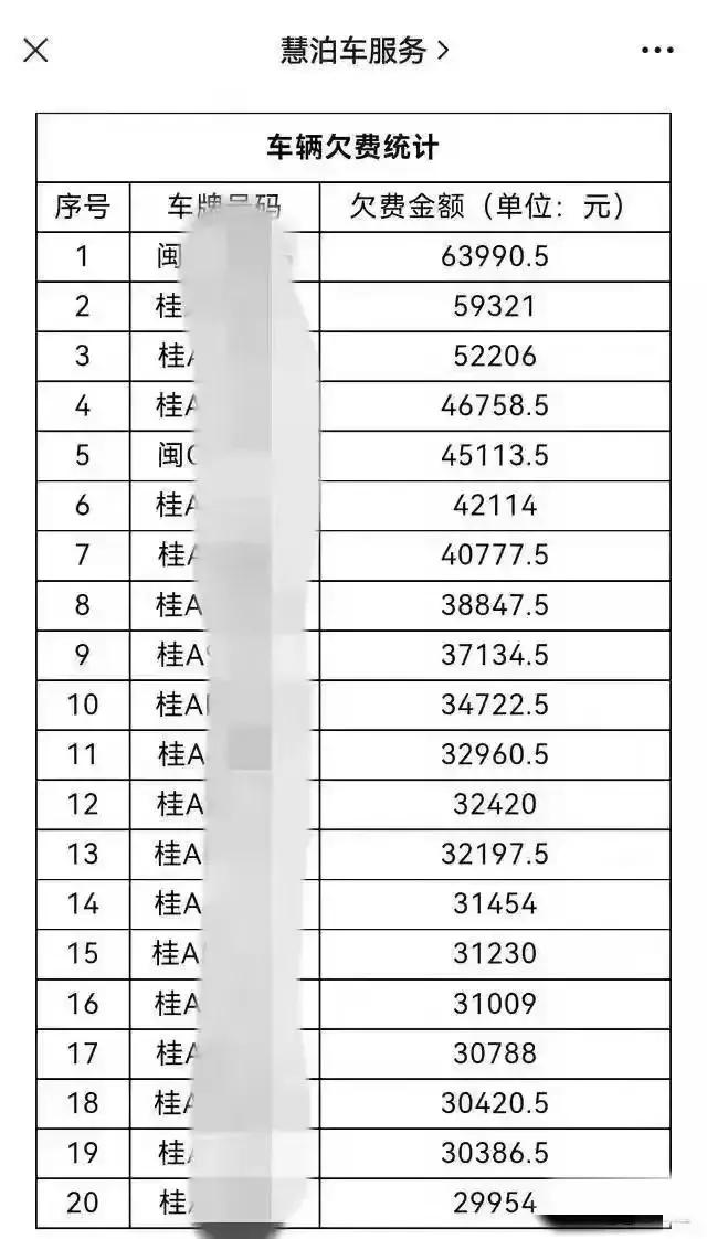 慧泊停职检查通报,慧泊停车事件5人被停职
