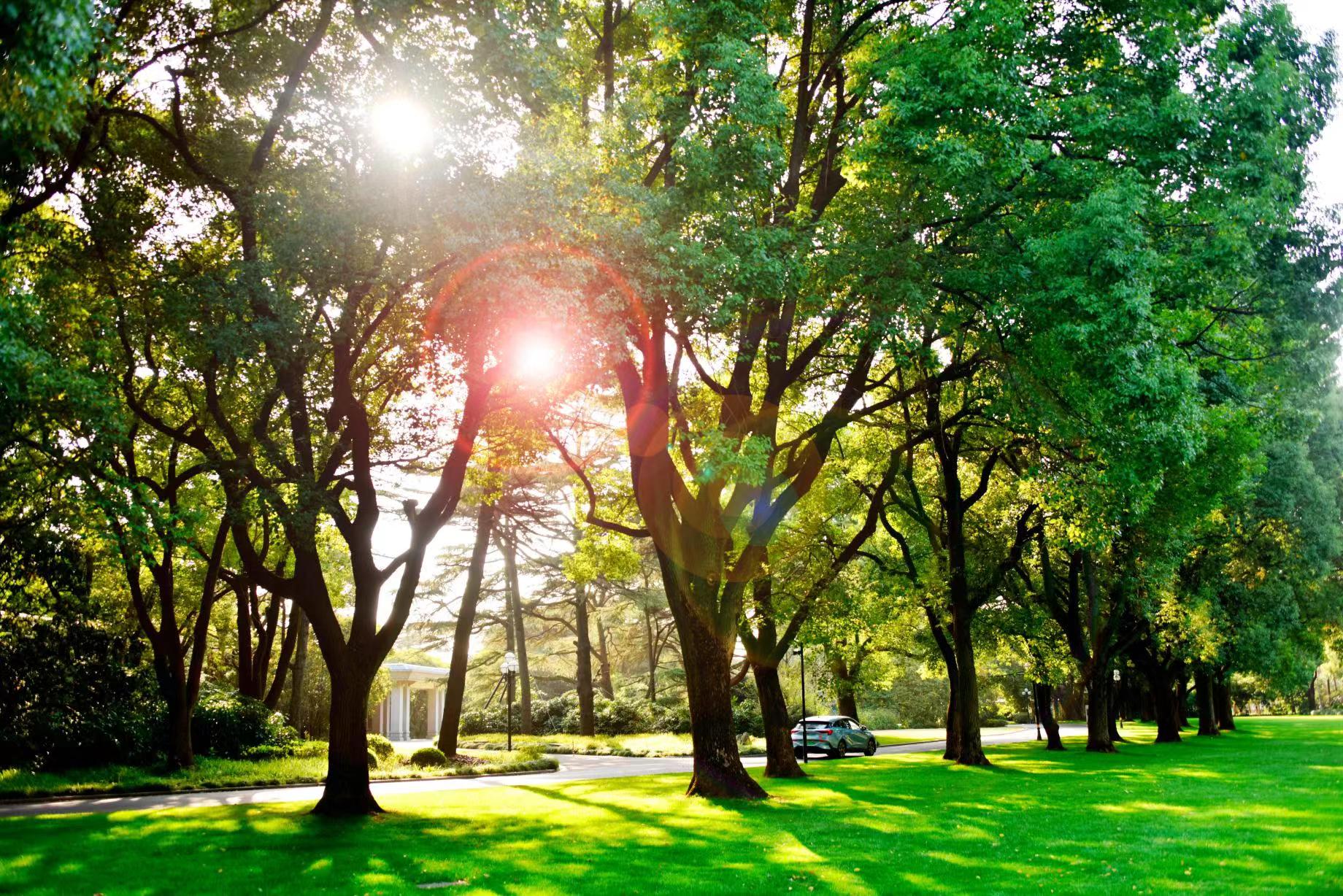 上海西郊花园酒店,上海宝藏宾馆