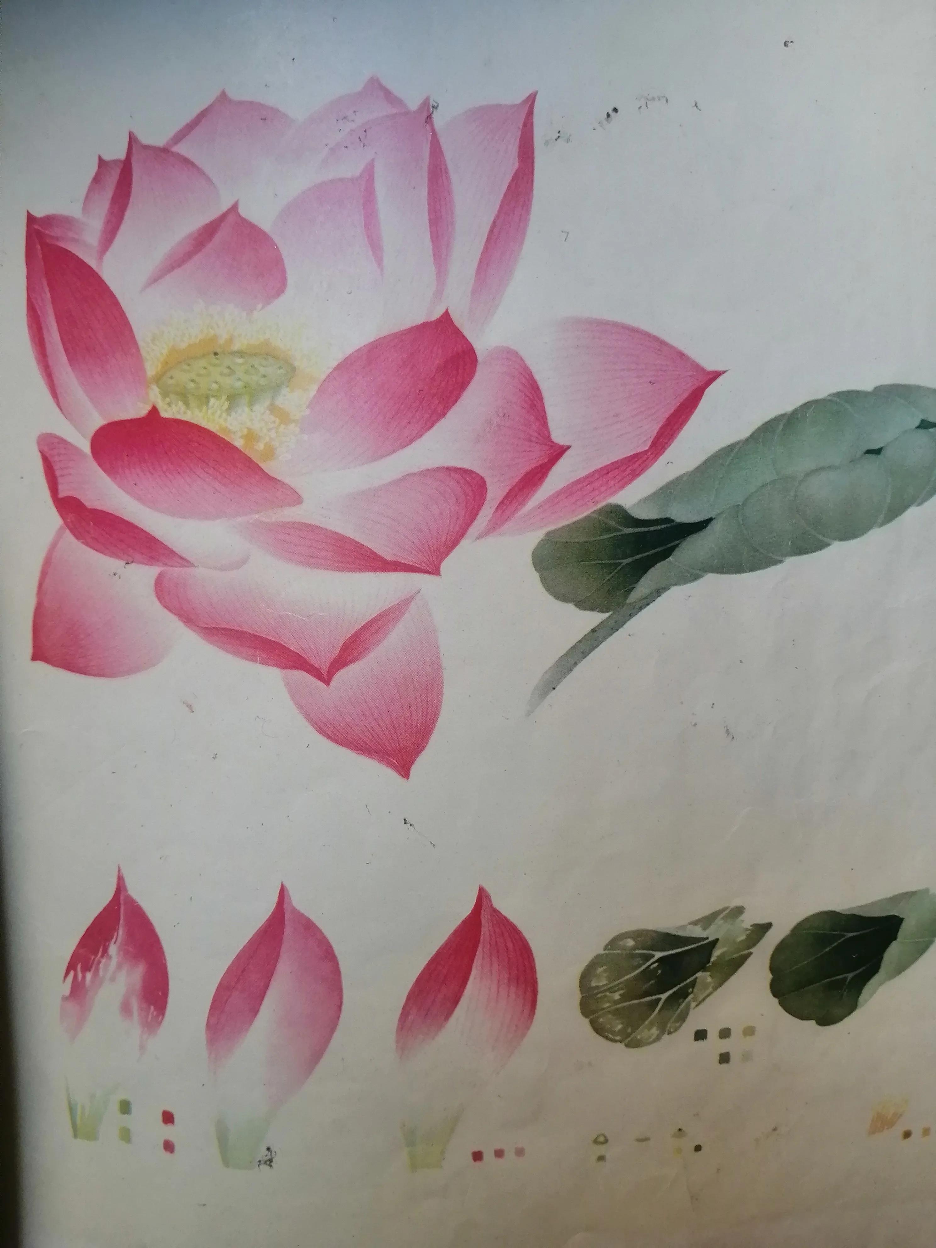 什么是没骨画技法,什么是没骨法画法