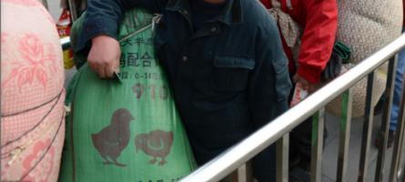 高铁检票员打死老人最新消息,高铁检票员打死老人最新进展