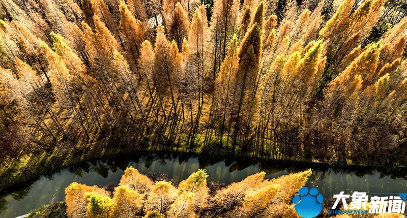 行走河南读懂中国畅游洛阳,行走河南读懂中国洛阳考古