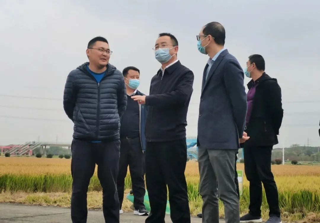 一起来看美丽的淀山湖,一起来看苏州京杭大运河