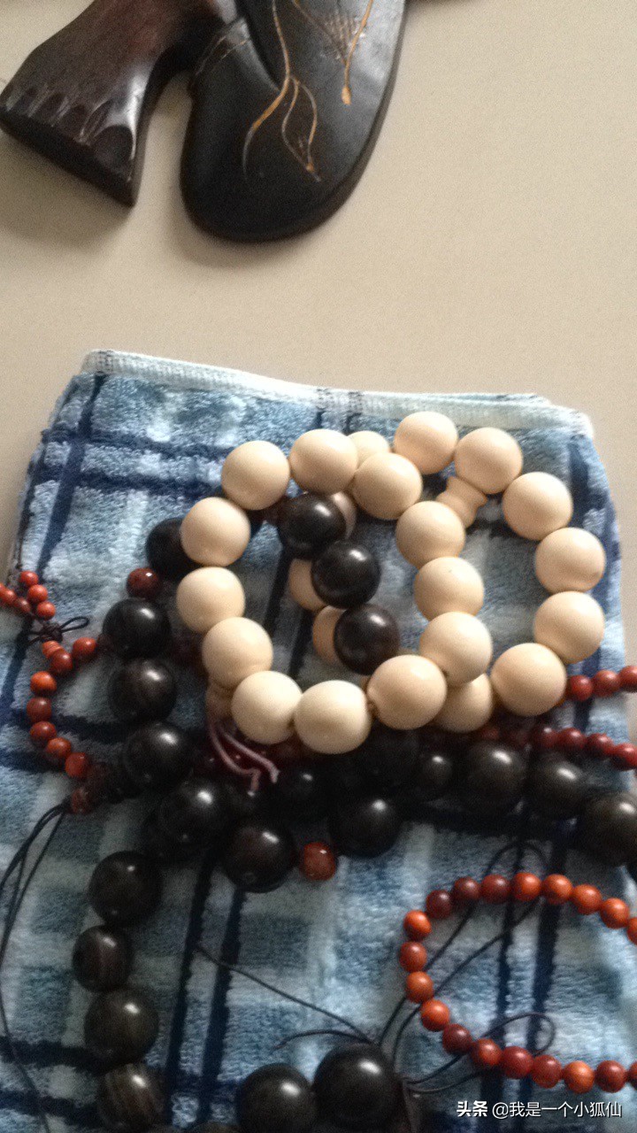 我在非洲安哥拉采辣木籽（我在安哥拉的日子313）