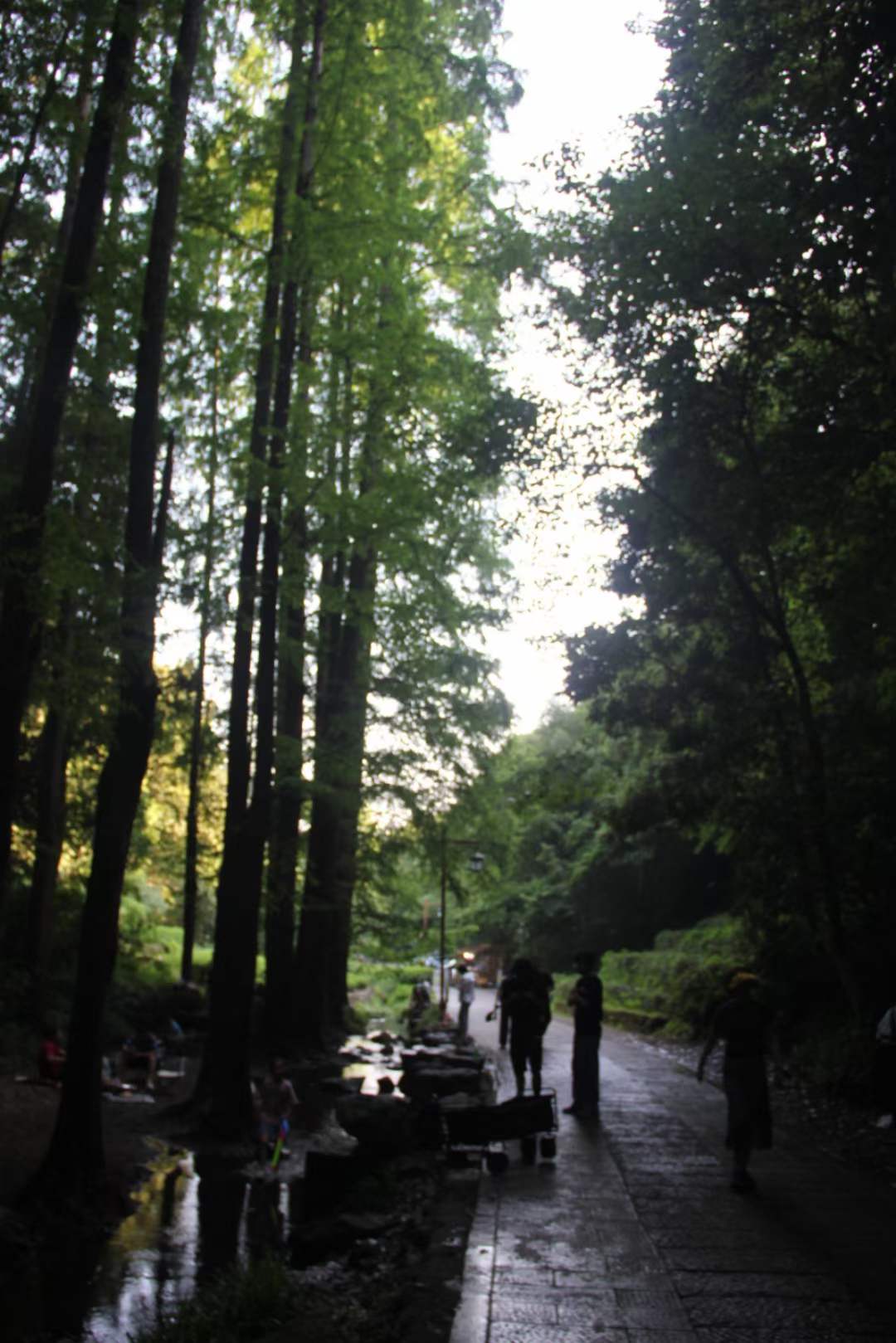 杭州避暑山庄度假村,杭州景区九溪十八涧