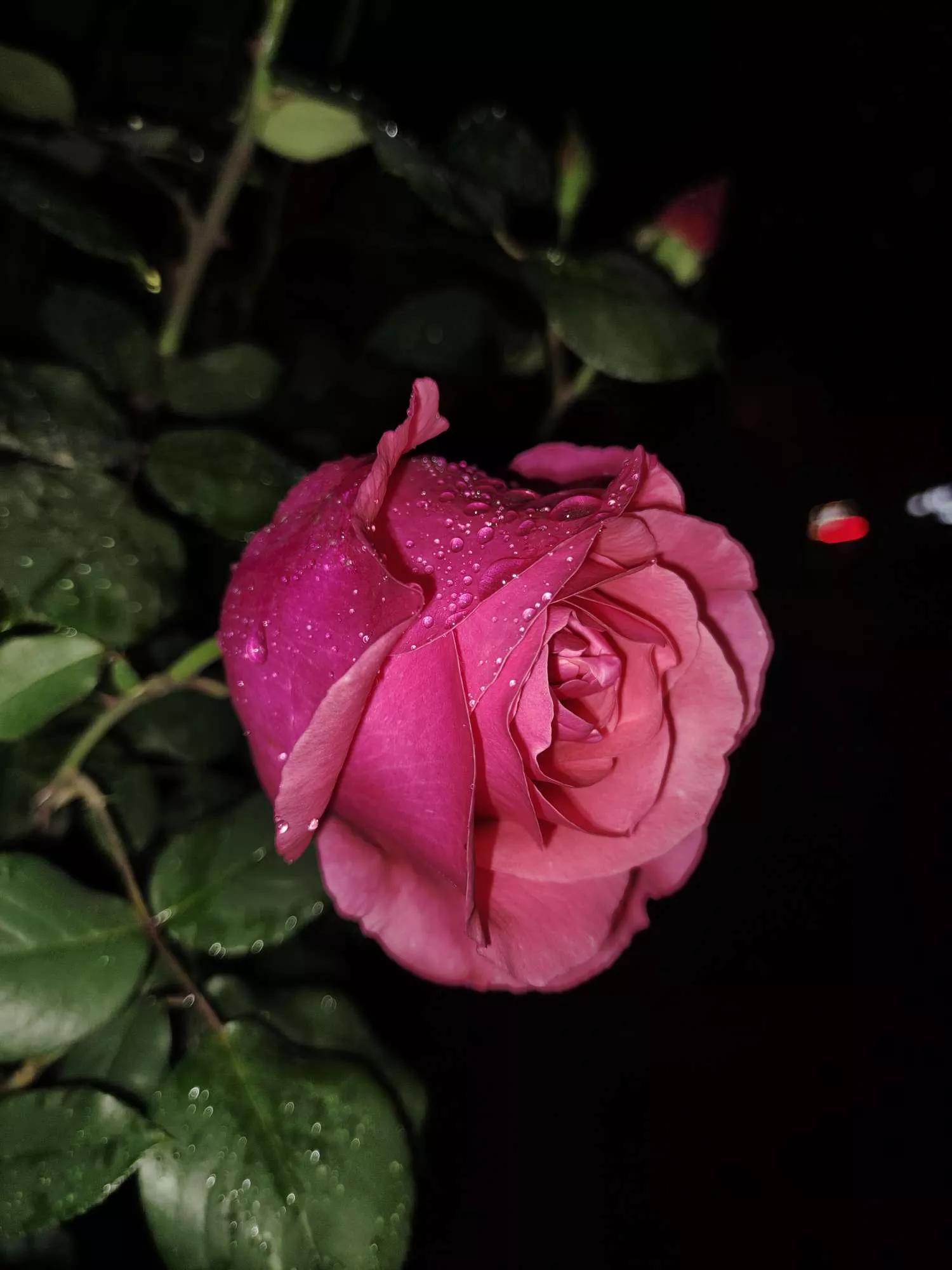 岁月斑驳留下来的都是静好时光,岁月斑驳愿时光静好